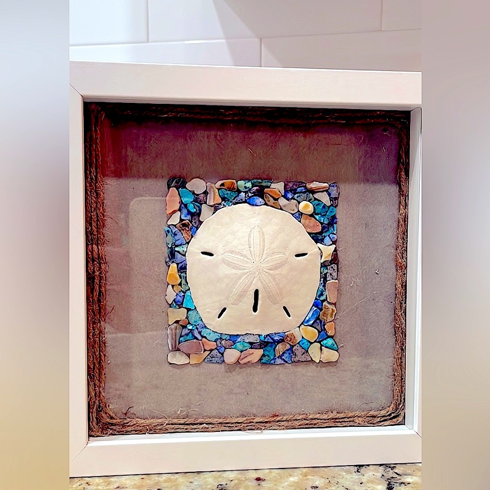 Unique Sand Dollar & Seashell Fragments Shadowbox.